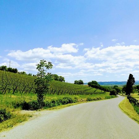 Centralissimo Nel Cuore Del Borgo Suvereto Exteriör bild