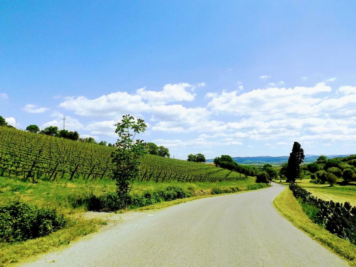 Centralissimo Nel Cuore Del Borgo Suvereto Exteriör bild